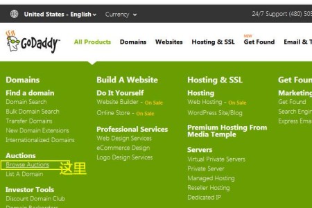 【分享】在GODADDY AUCTIONS平台上购买10年以上的老域名