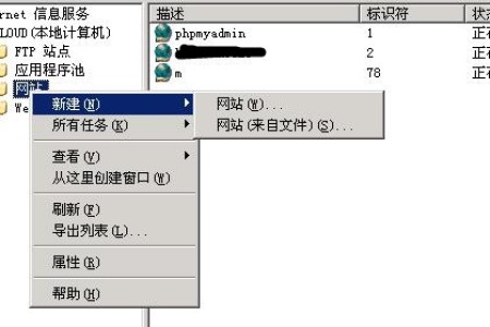 Windows 2003系统 VPS二级域名如何开设子站以及指向的问题
