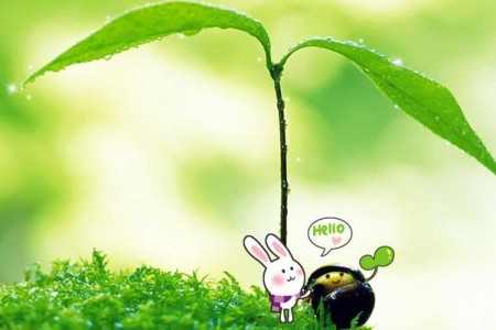 建议不要瞎折腾主要,随意更换