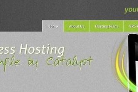 CatalystHost 达拉斯便宜vps主机 OpenVZ 128M内存 年付12美元
