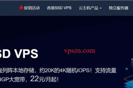 野草云2024新年香港SSD VPS主机年付4折优惠/2G内存首年88元起